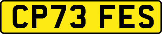 CP73FES