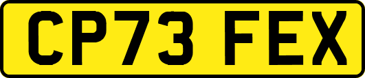 CP73FEX