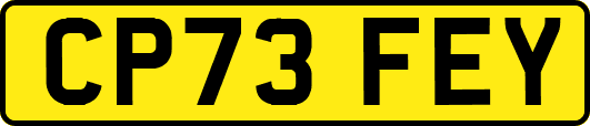 CP73FEY