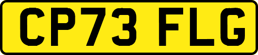 CP73FLG