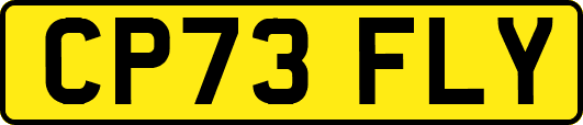 CP73FLY