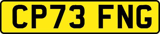 CP73FNG