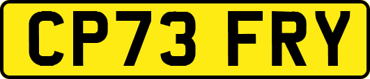 CP73FRY