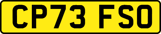 CP73FSO