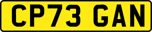 CP73GAN