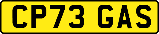 CP73GAS
