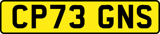 CP73GNS