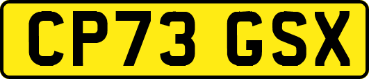 CP73GSX