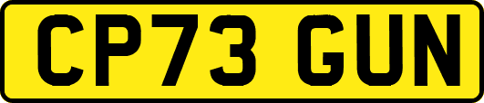 CP73GUN
