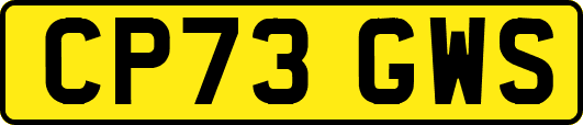 CP73GWS