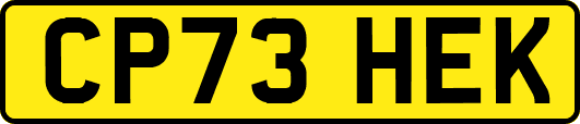 CP73HEK
