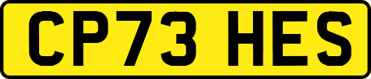 CP73HES