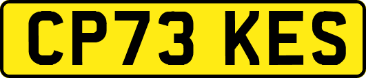 CP73KES