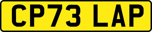 CP73LAP