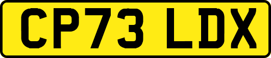 CP73LDX