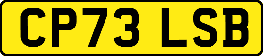 CP73LSB