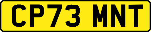 CP73MNT
