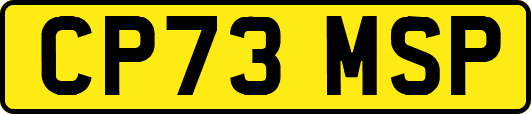 CP73MSP
