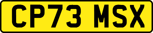 CP73MSX