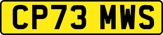 CP73MWS