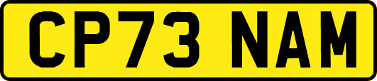 CP73NAM
