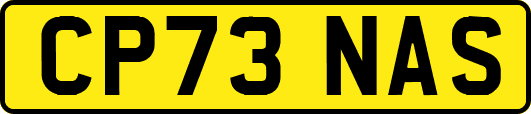 CP73NAS