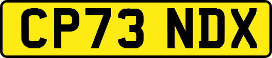 CP73NDX