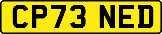CP73NED