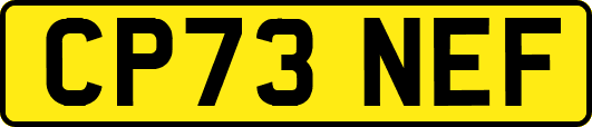 CP73NEF
