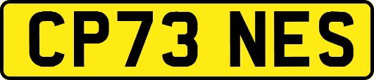 CP73NES