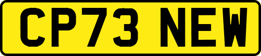 CP73NEW