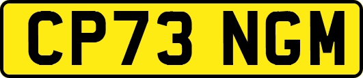 CP73NGM