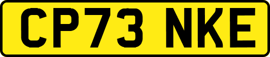 CP73NKE