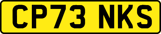CP73NKS