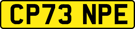 CP73NPE