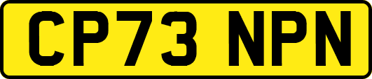 CP73NPN