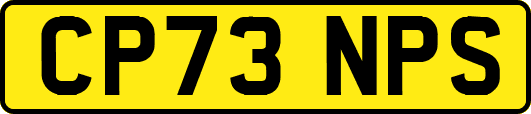 CP73NPS