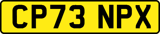 CP73NPX