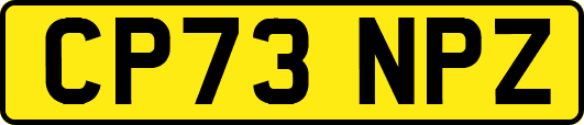 CP73NPZ