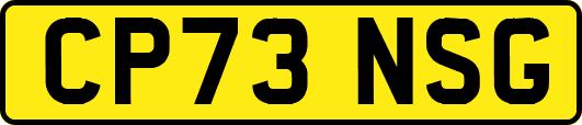 CP73NSG