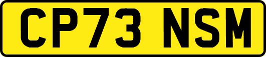 CP73NSM