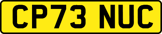 CP73NUC