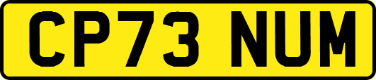 CP73NUM