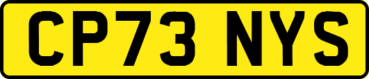 CP73NYS