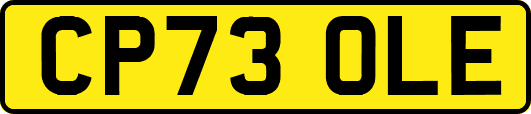 CP73OLE