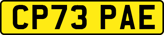 CP73PAE