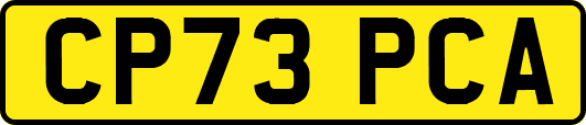 CP73PCA