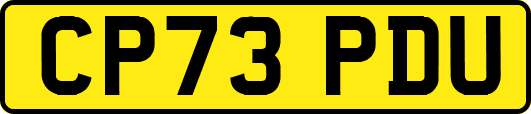 CP73PDU