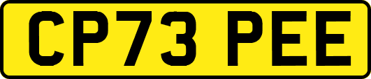 CP73PEE
