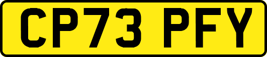 CP73PFY